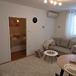 Paeonia Дубровник
